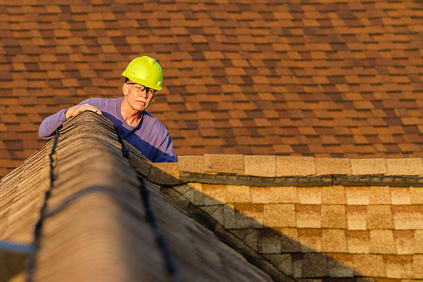 Best Storm Damage Roof Repair  in Durant, MS